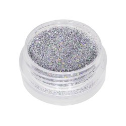 Nailart powder glitter 2 g. Holo Slv