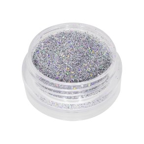 Nailart powder glitter 2 g. Holo Slv