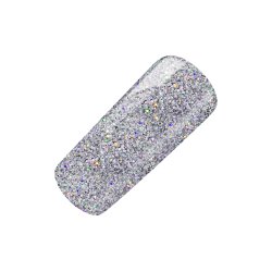 Nailart powder glitter 2 g. Holo Slv