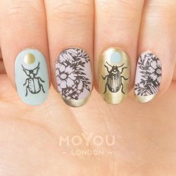 Botanical Stamping Plate 04