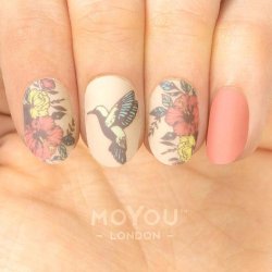 Botanical Stamping Plate 05