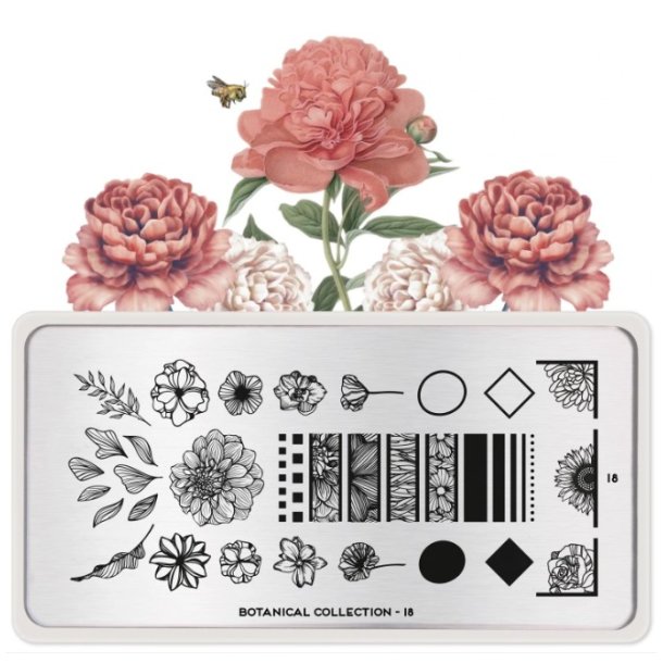 Botanical Stamping Plate 18