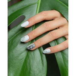 Botanical Stamping Plate 18