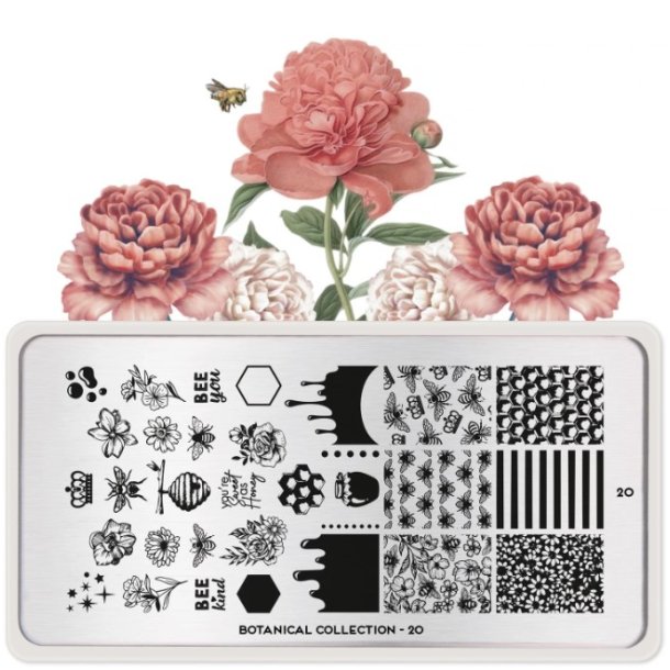 Botanical Stamping Plate 20