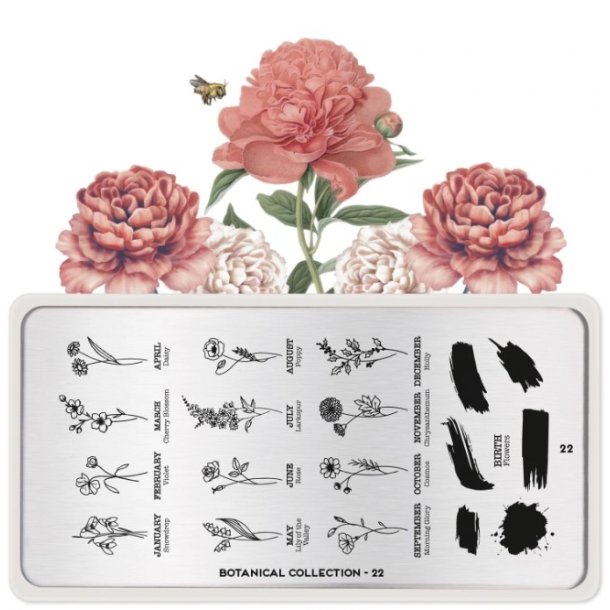 Botanical Stamping Plate 22