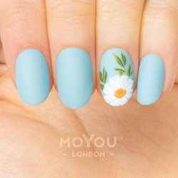 Festive Stamping Plate 77