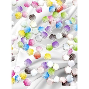 Flower mix Multi Color