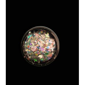 Holografiske slv fragmenter