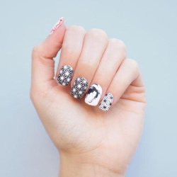 Suki Stamping Plate 02