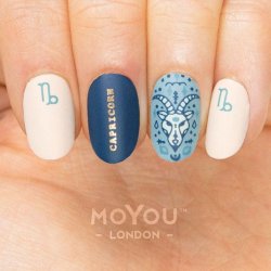 Zodiac Stamping Plate 26