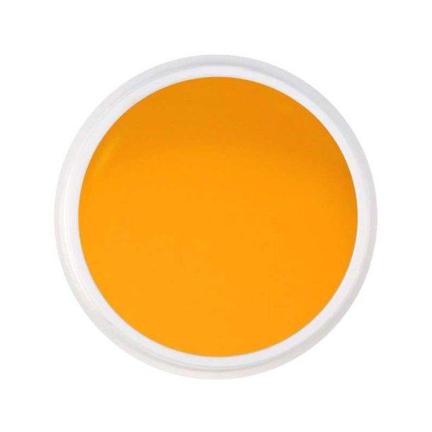 Neglebixens Color Gel nr. 13 - 5ml
